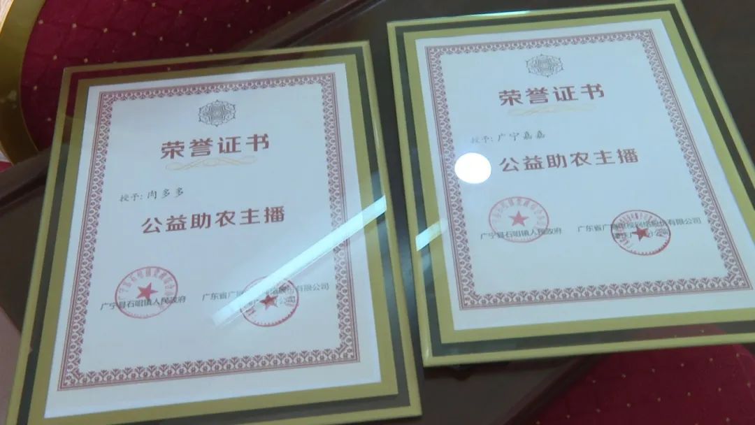 廣東廣電網(wǎng)絡(luò)：智慧廣電網(wǎng)絡(luò)平臺(tái)，開(kāi)啟廣寧農(nóng)產(chǎn)品銷售新格局